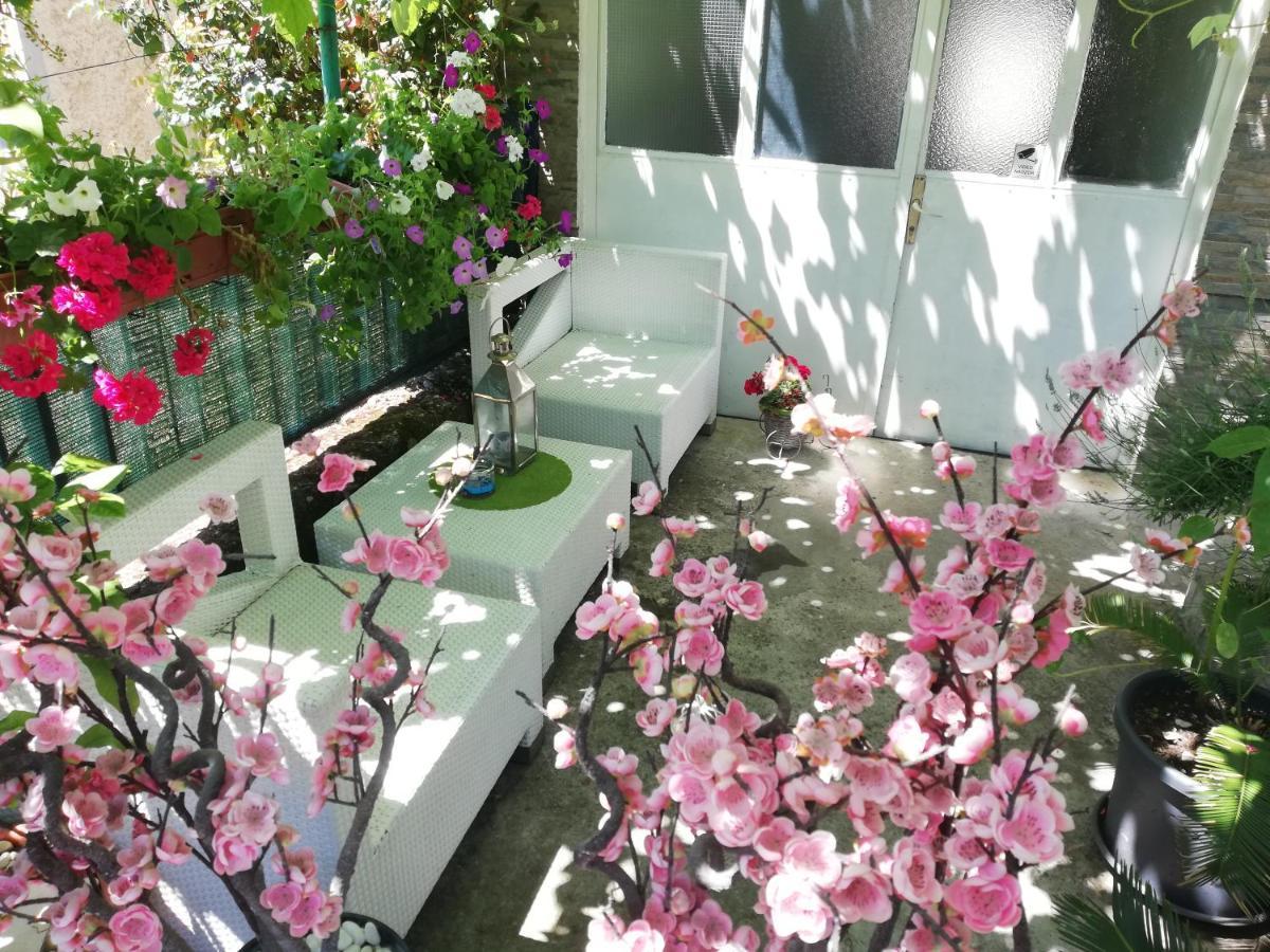 Apartman Teuta ซาเกร็บ ภายนอก รูปภาพ