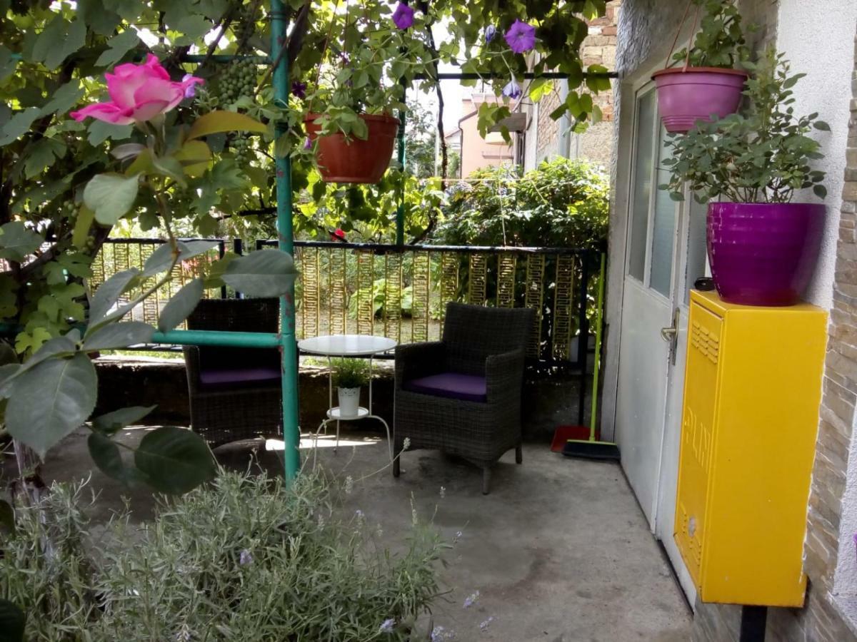 Apartman Teuta ซาเกร็บ ภายนอก รูปภาพ