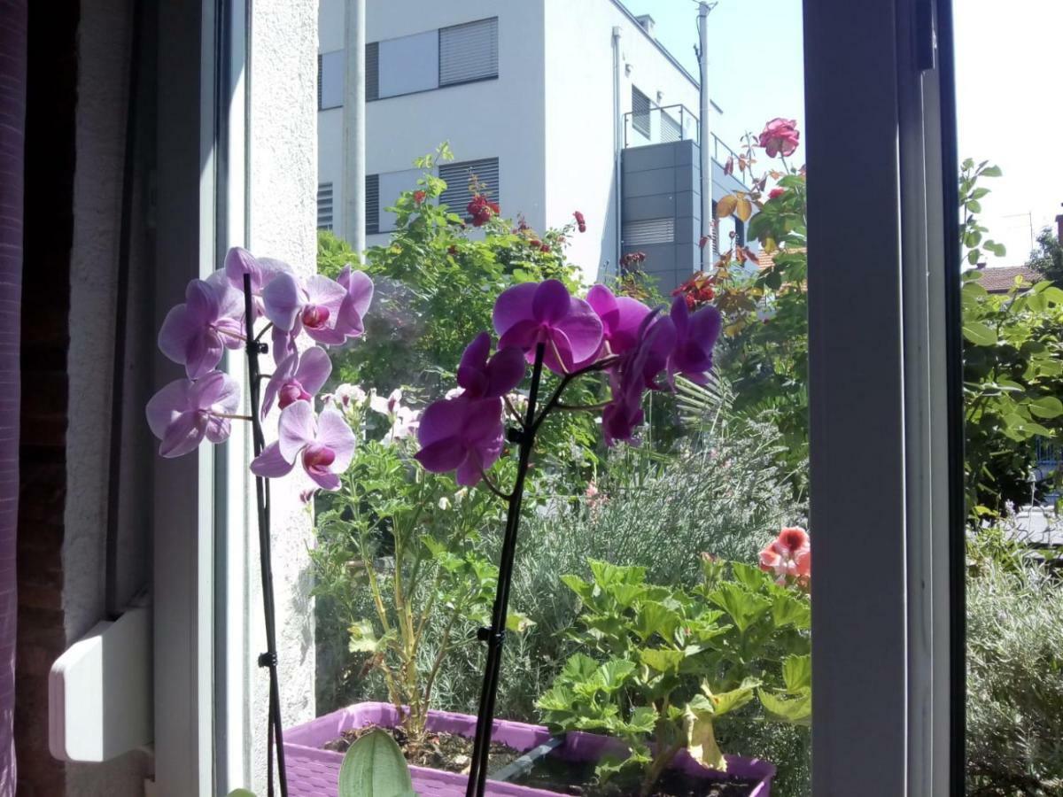 Apartman Teuta ซาเกร็บ ภายนอก รูปภาพ