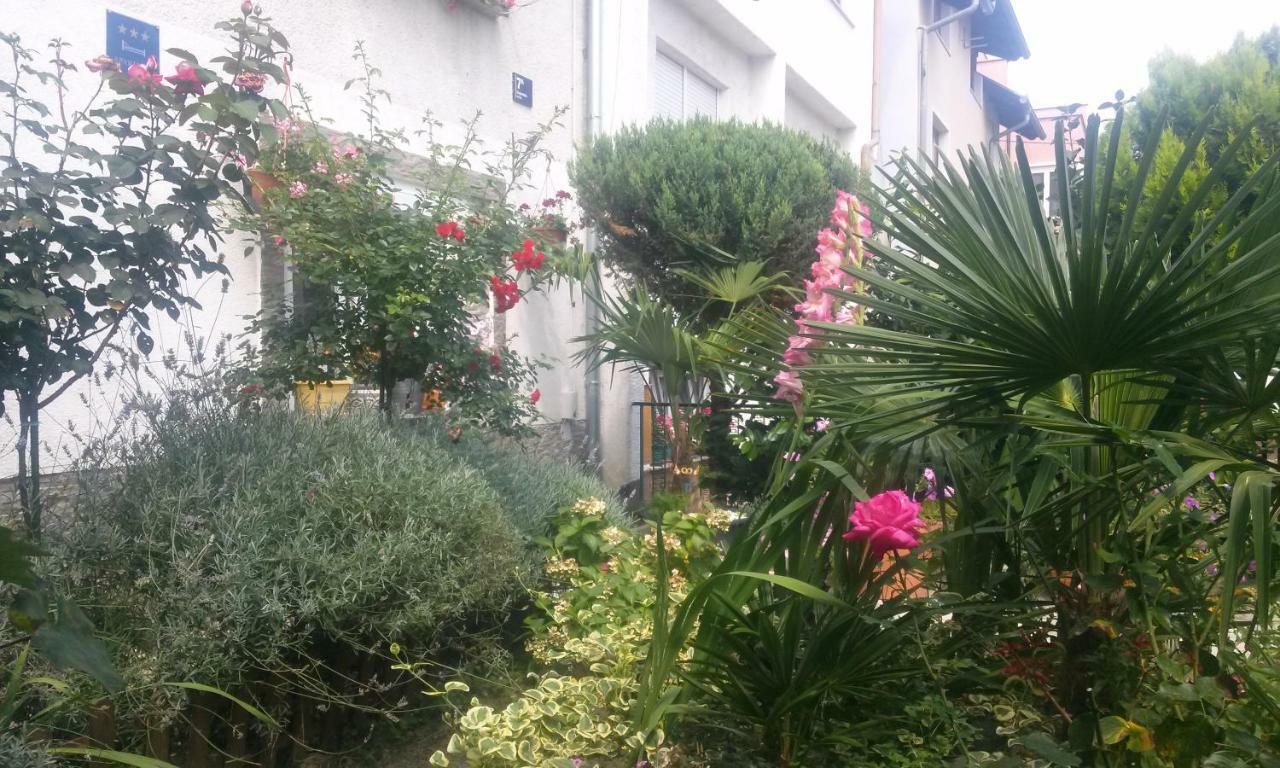 Apartman Teuta ซาเกร็บ ภายนอก รูปภาพ